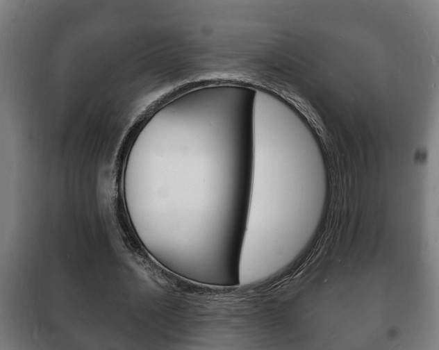 X0000102220628200807250747