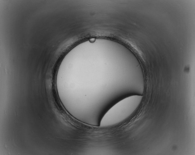 X0000102220631200807250747