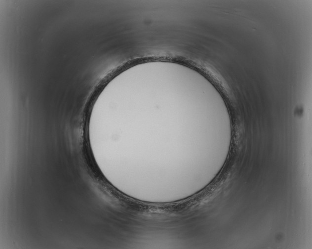 X0000102220632200807250747
