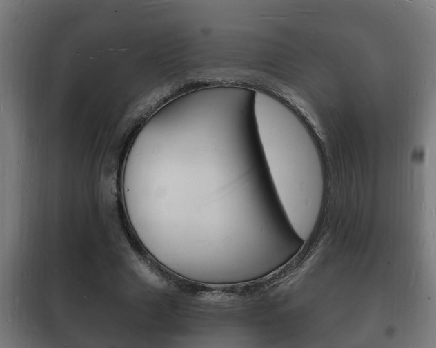 X0000102220633200807250747