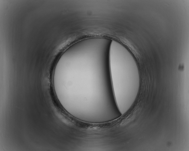 X0000102220634200807250747