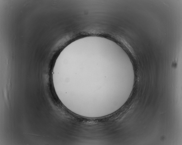 X0000102220635200807250747