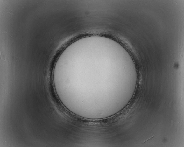 X0000102220636200807250747
