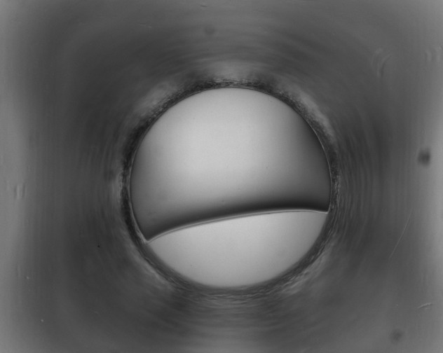 X0000102220637200807250747