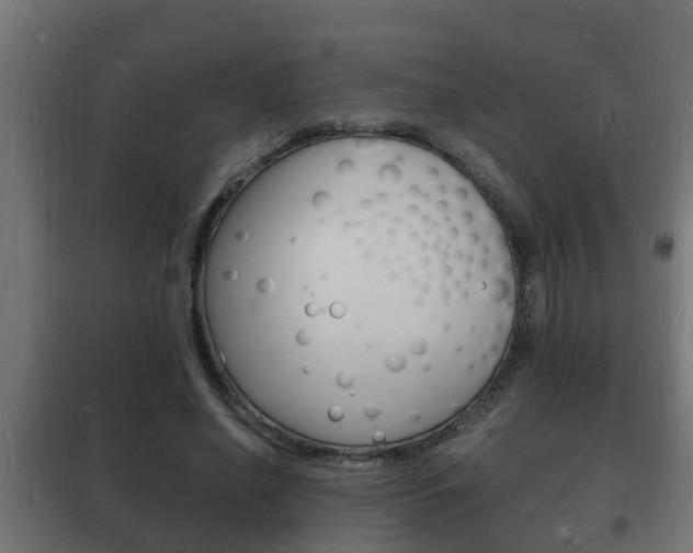 X0000102220638200807250747