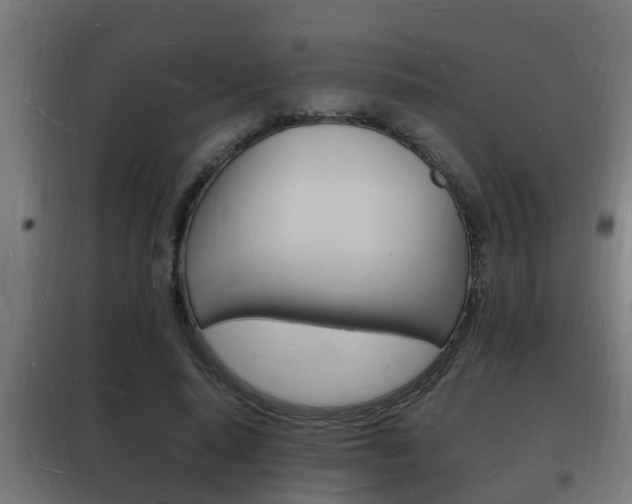 X0000102220640200807250747