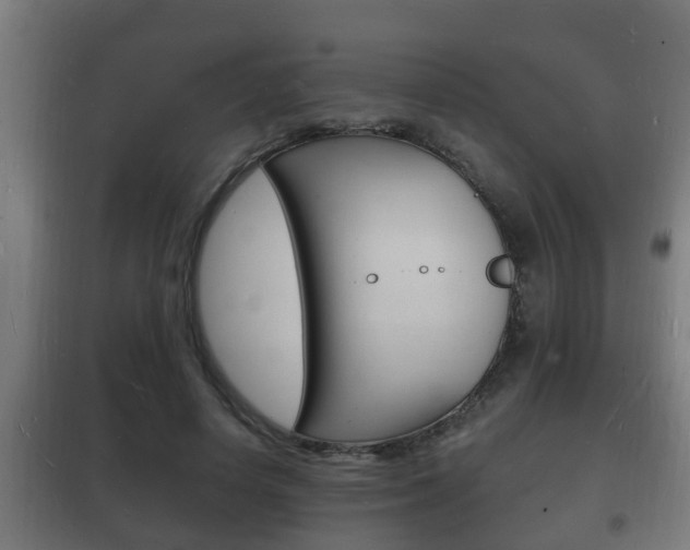 X0000102220642200807250747