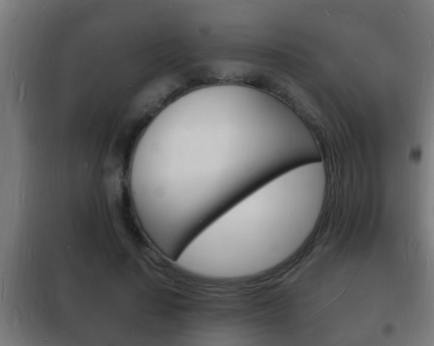 X0000102220644200807250747