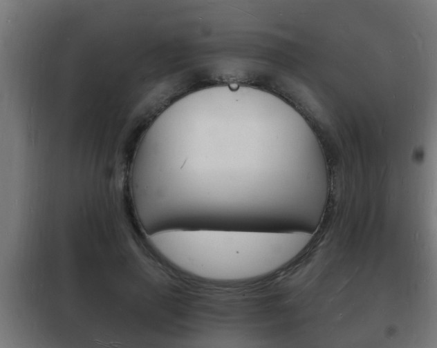 X0000102220645200807250747