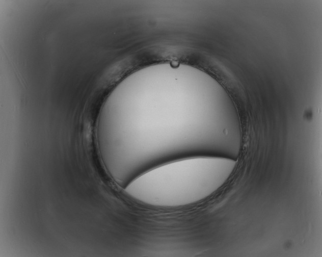X0000102220646200807250747