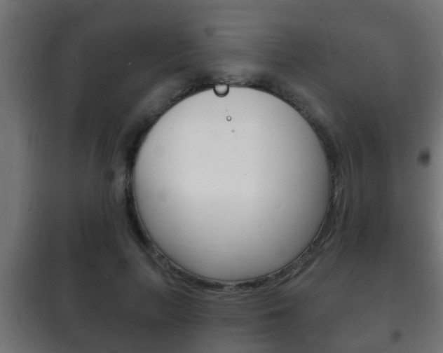 X0000102220647200807250747