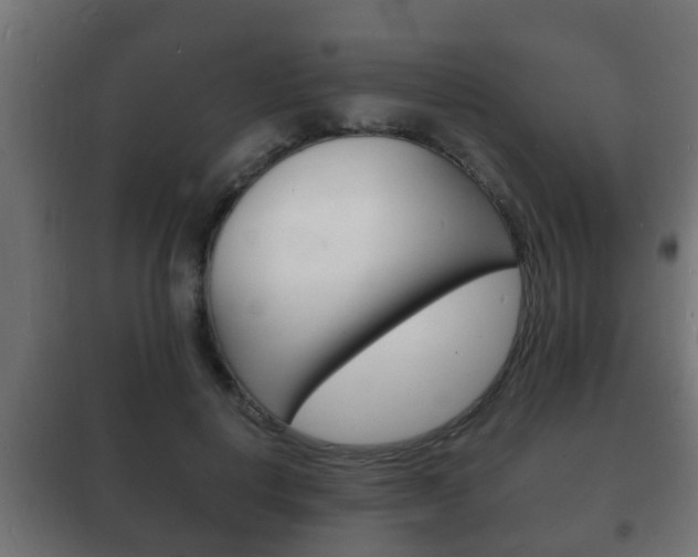 X0000102220648200807250747