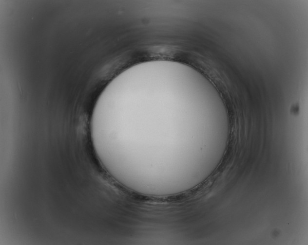 X0000102220649200807250747