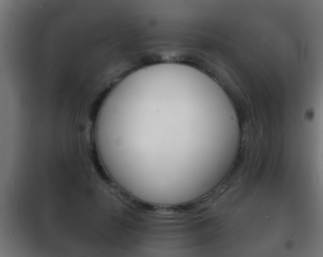 X0000102220650200807250747