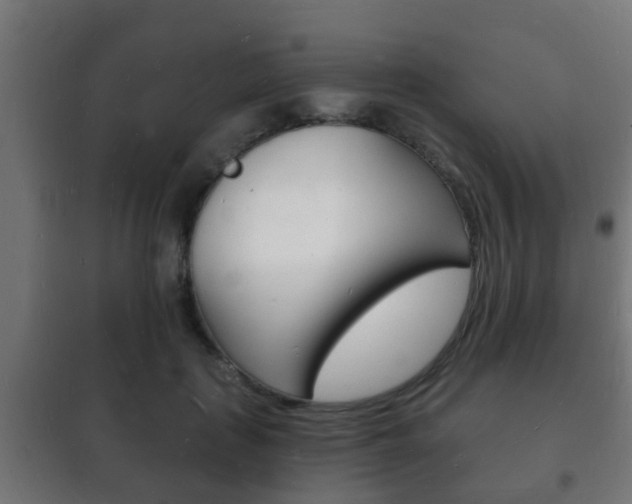 X0000102220651200807250747