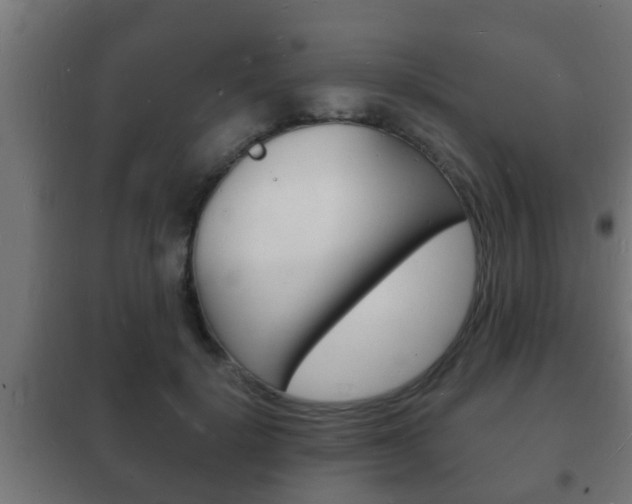 X0000102220652200807250747