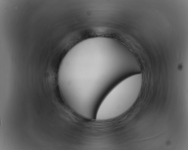 X0000102220653200807250747