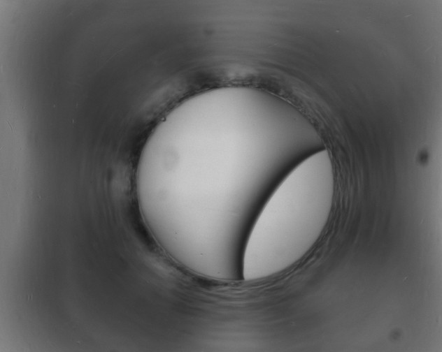 X0000102220654200807250747
