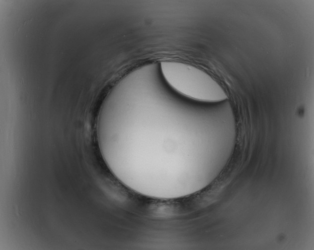 X0000102220655200807250747