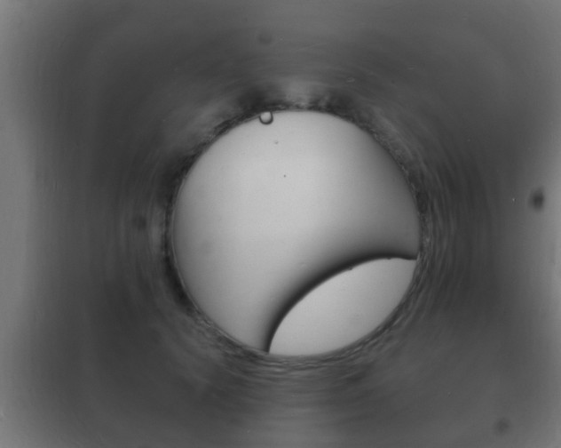 X0000102220656200807250747
