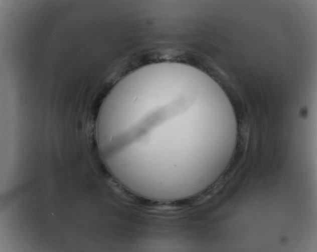 X0000102220657200807250747