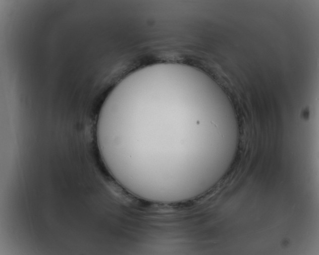 X0000102220658200807250747