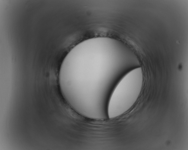 X0000102220661200807250747