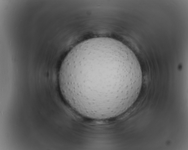 X0000102220662200807250747
