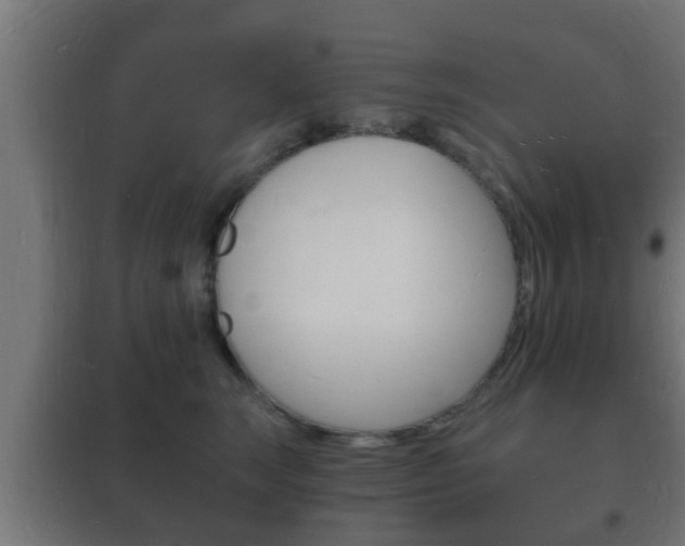 X0000102220663200807250747