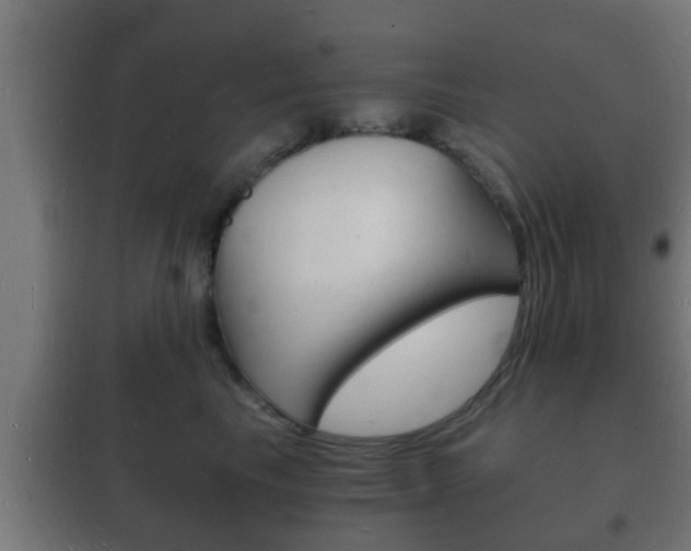 X0000102220665200807250747