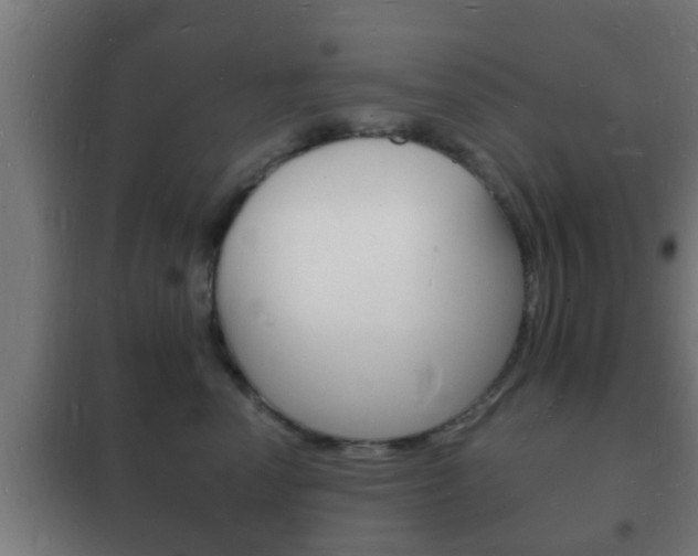 X0000102220666200807250747