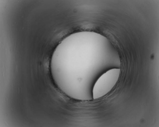 X0000102220668200807250747