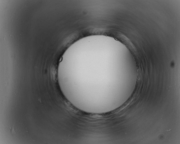 X0000102220669200807250747