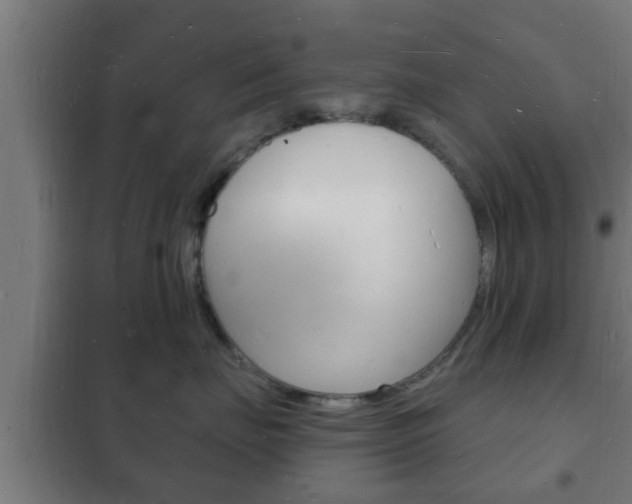 X0000102220671200807250747