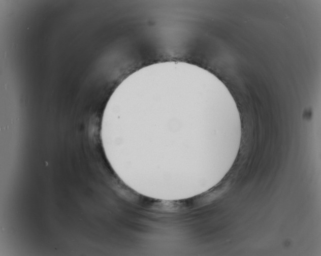 X0000102220672200807250747