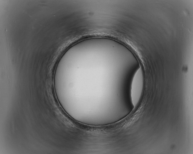 X0000102220673200807250747