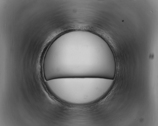 X0000102220674200807250746