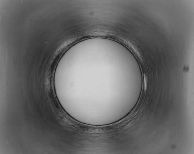 X0000102220675200807250746