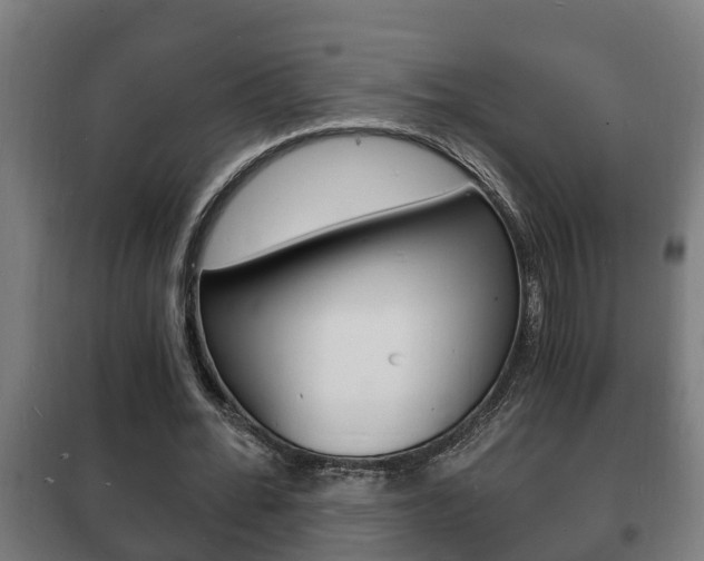 X0000102220676200807250746