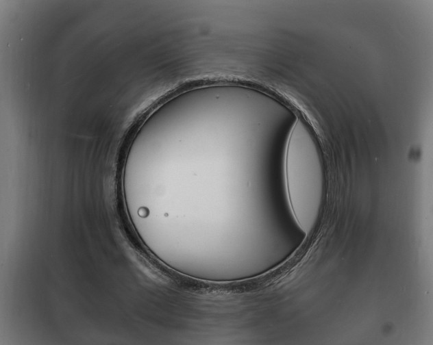 X0000102220677200807250746