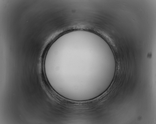 X0000102220678200807250746
