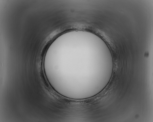 X0000102220679200807250746