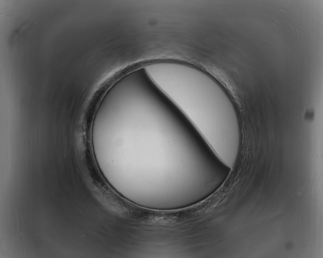 X0000102220680200807250746