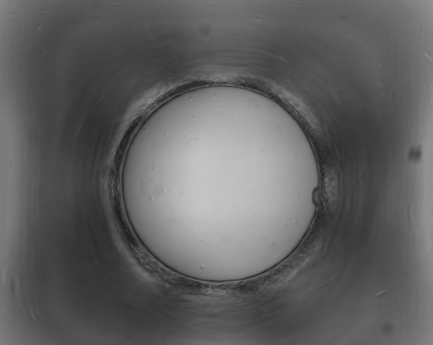 X0000102220682200807250746