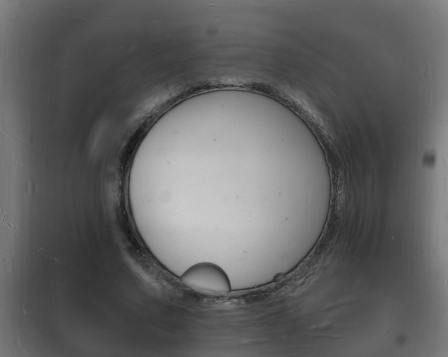 X0000102220683200807250746