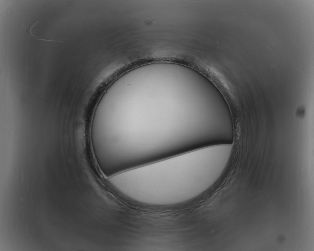 X0000102220684200807250746