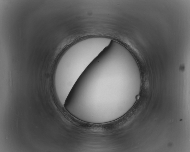 X0000102220685200807250746