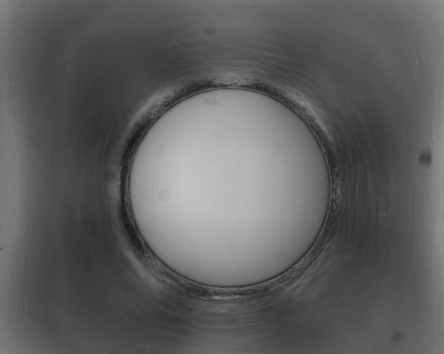X0000102220686200807250746