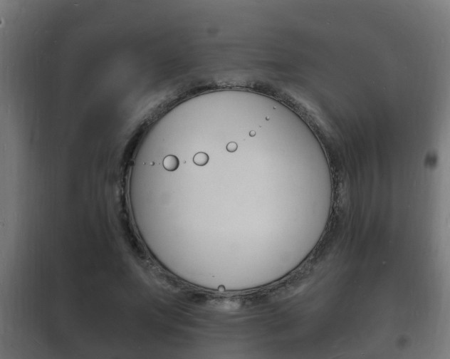 X0000102220687200807250746