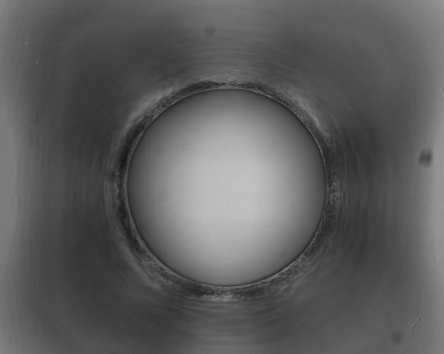 X0000102220688200807250746